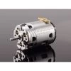 Ruddog Brushless Motor RP540 10.5T 540 Fixed Timing Sensored
