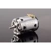 Ruddog Brushless Motor RP540 17.5T 540 Fixed Timing Sensored